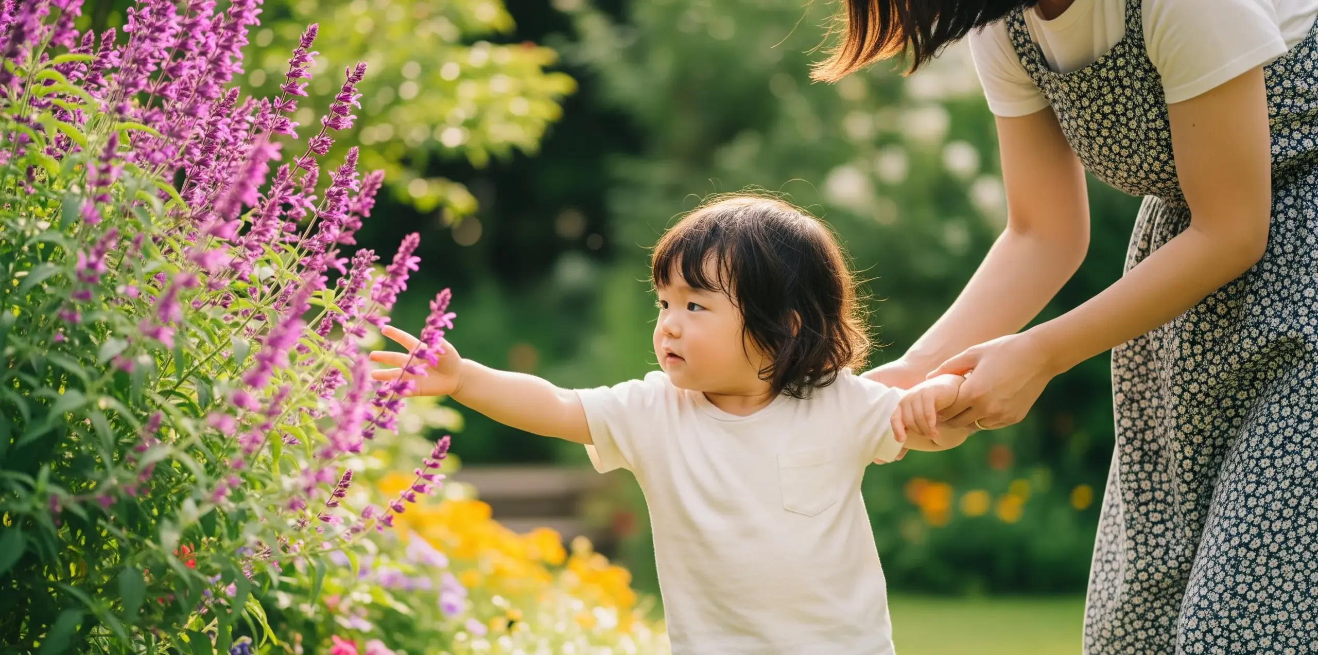 チェリーセージの毒性とペット・子どもへの影響