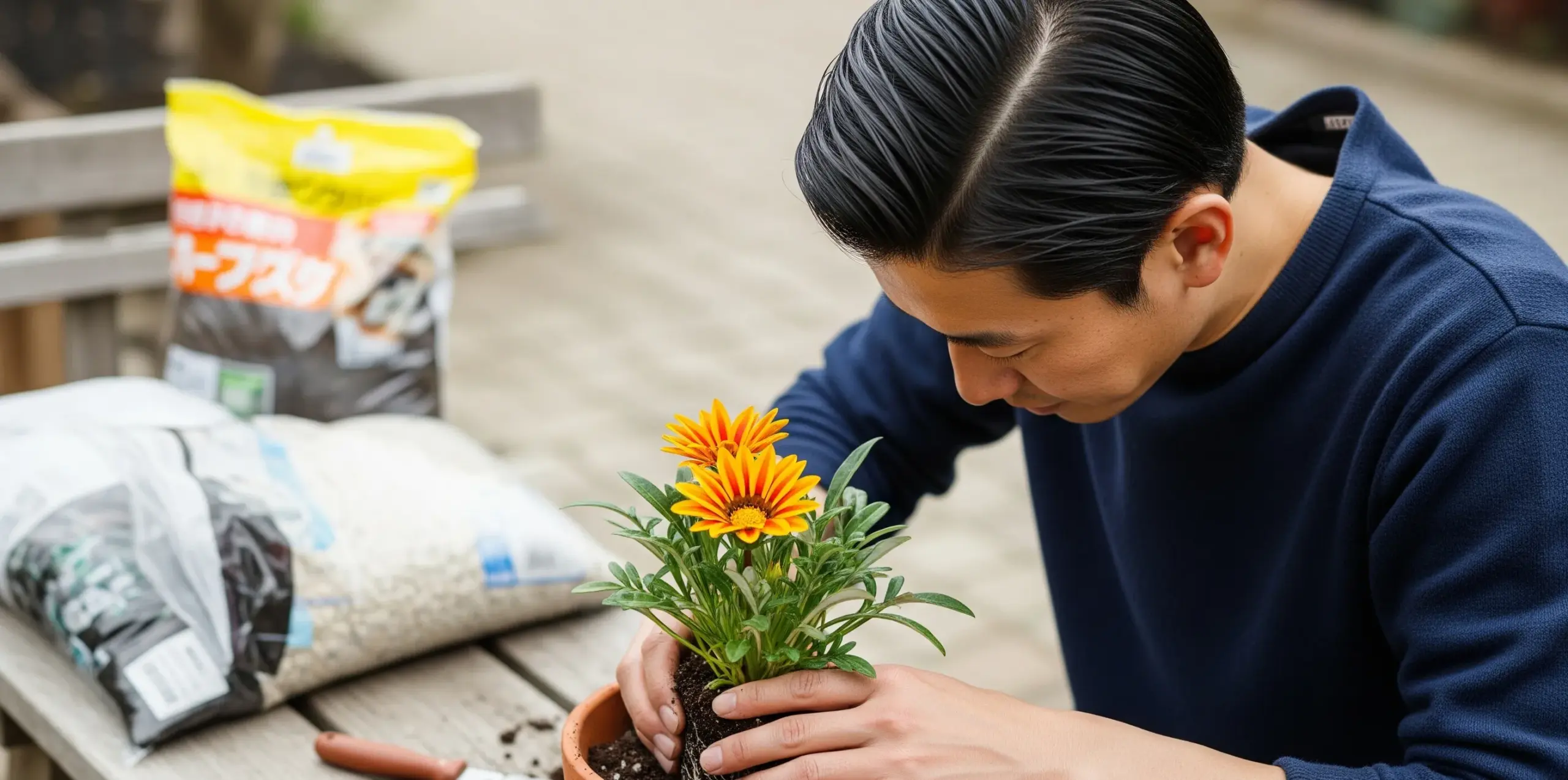 育て方 プランターと鉢植えのコツ