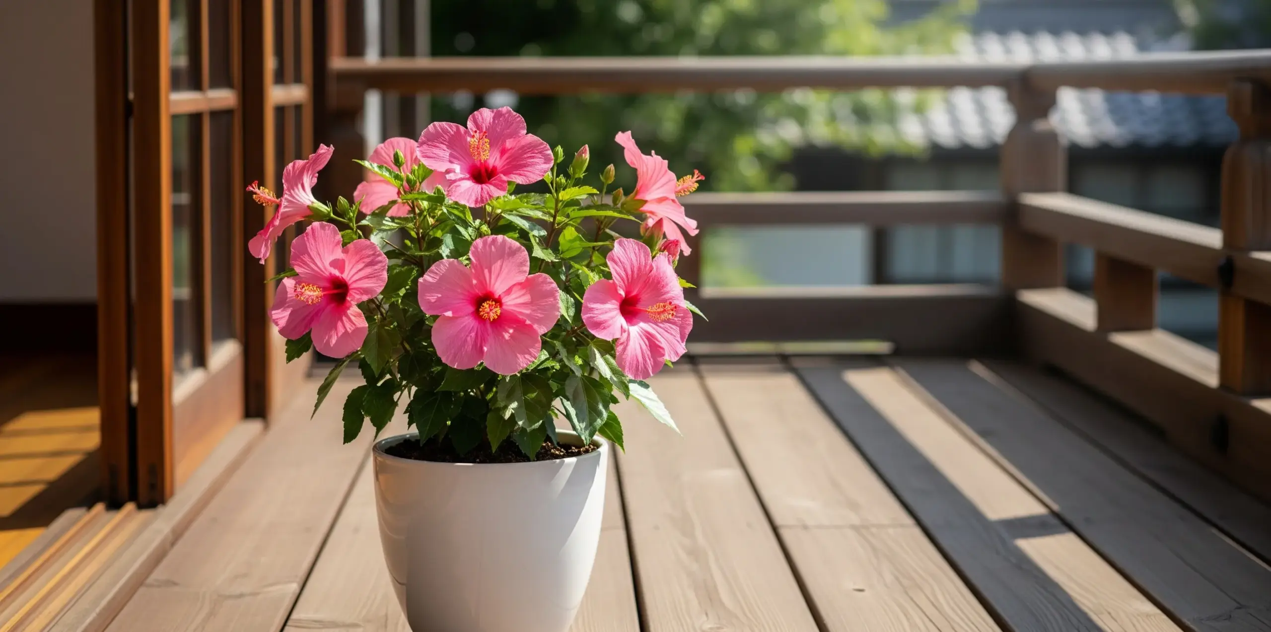 鉢植えでも栽培できる？