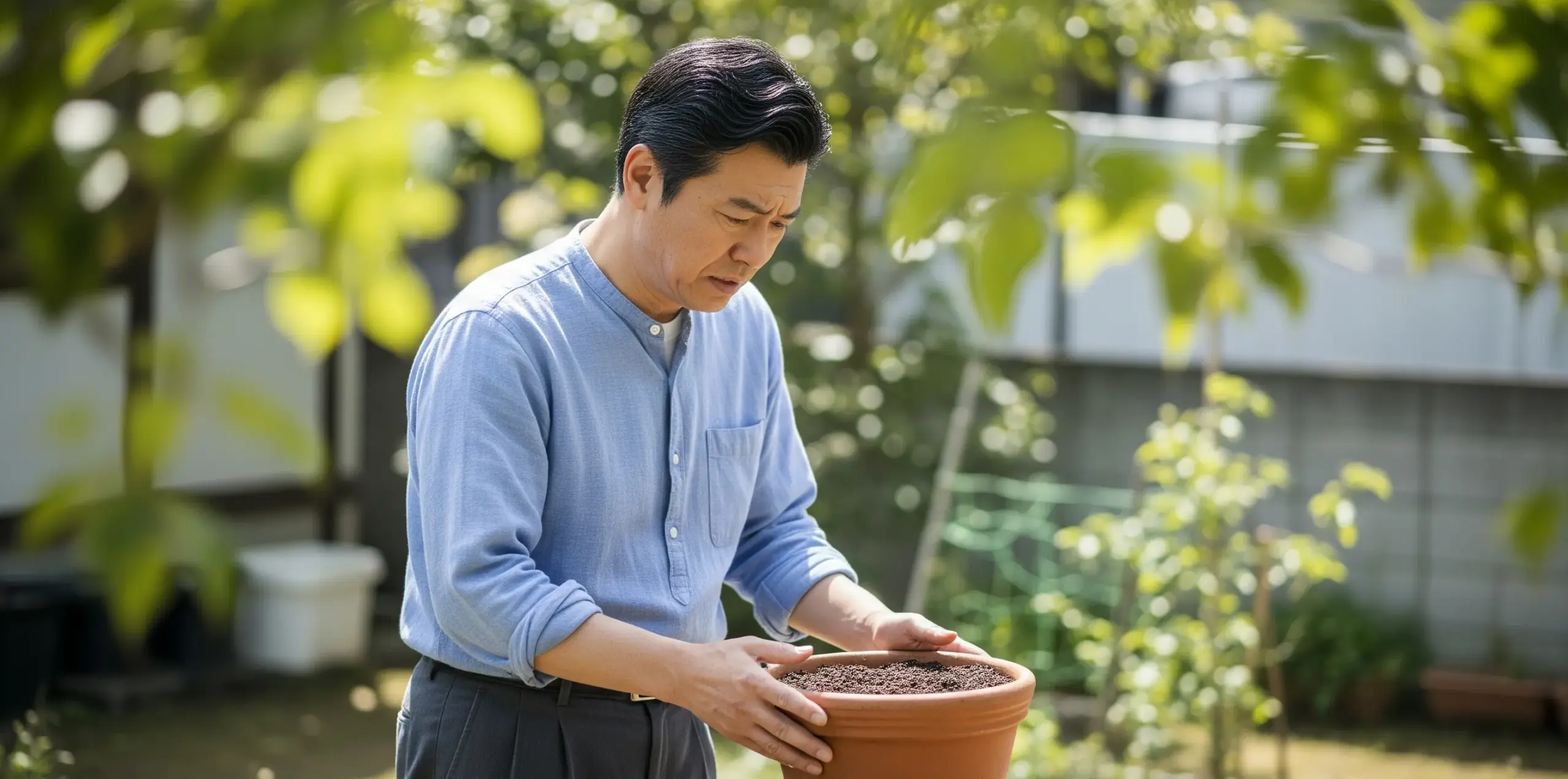 種が発芽しない時の見直し点