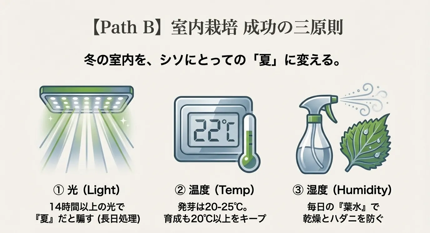 LEDライト、温度計（22度表示）、霧吹き（葉水）のイラスト。冬の室内を夏に変えるための3つの要素。