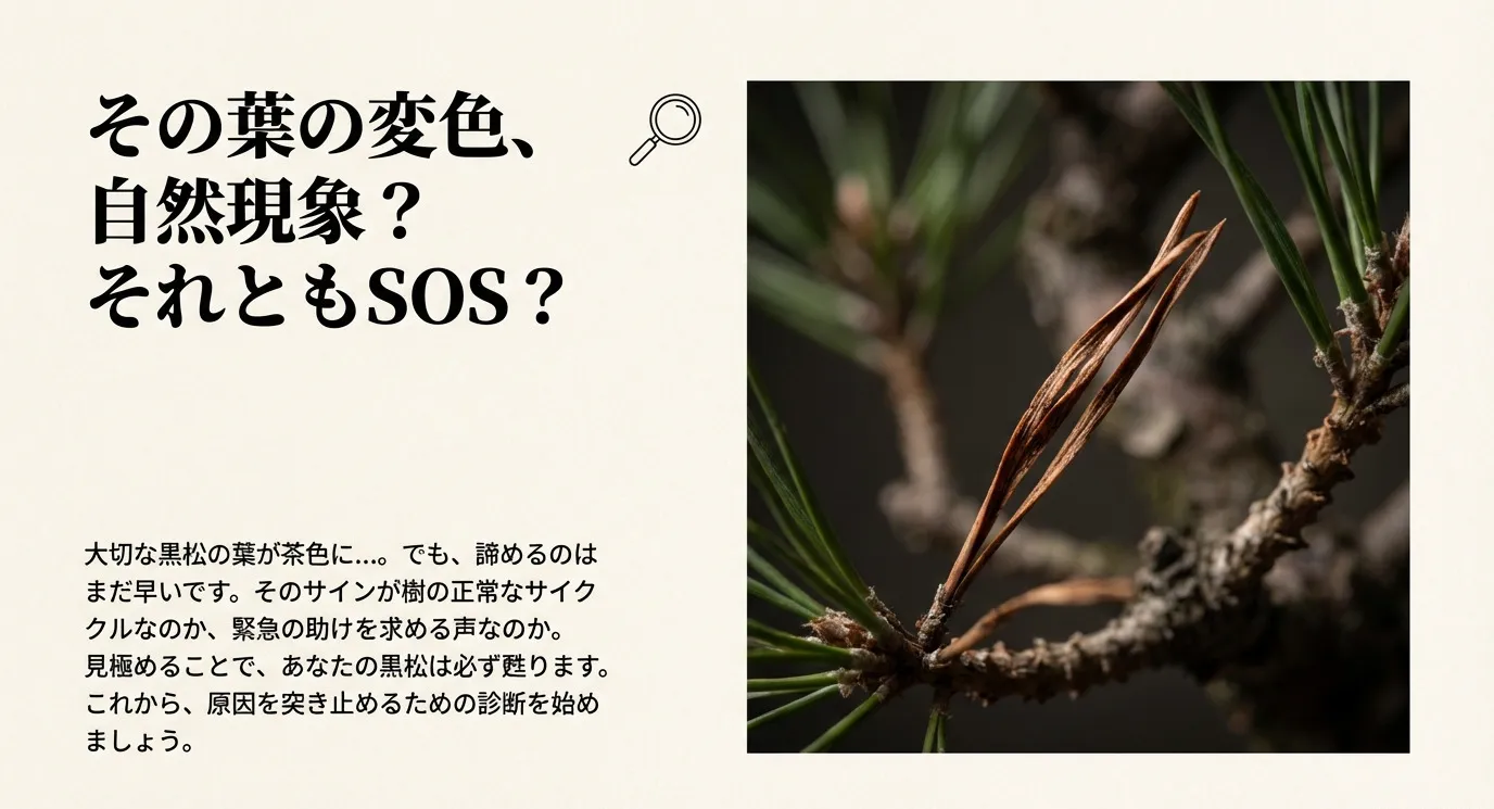 茶色く変色した松葉のクローズアップ写真。「その葉の変色、自然現象？それともSOS？」という問いかけのキャッチコピー。