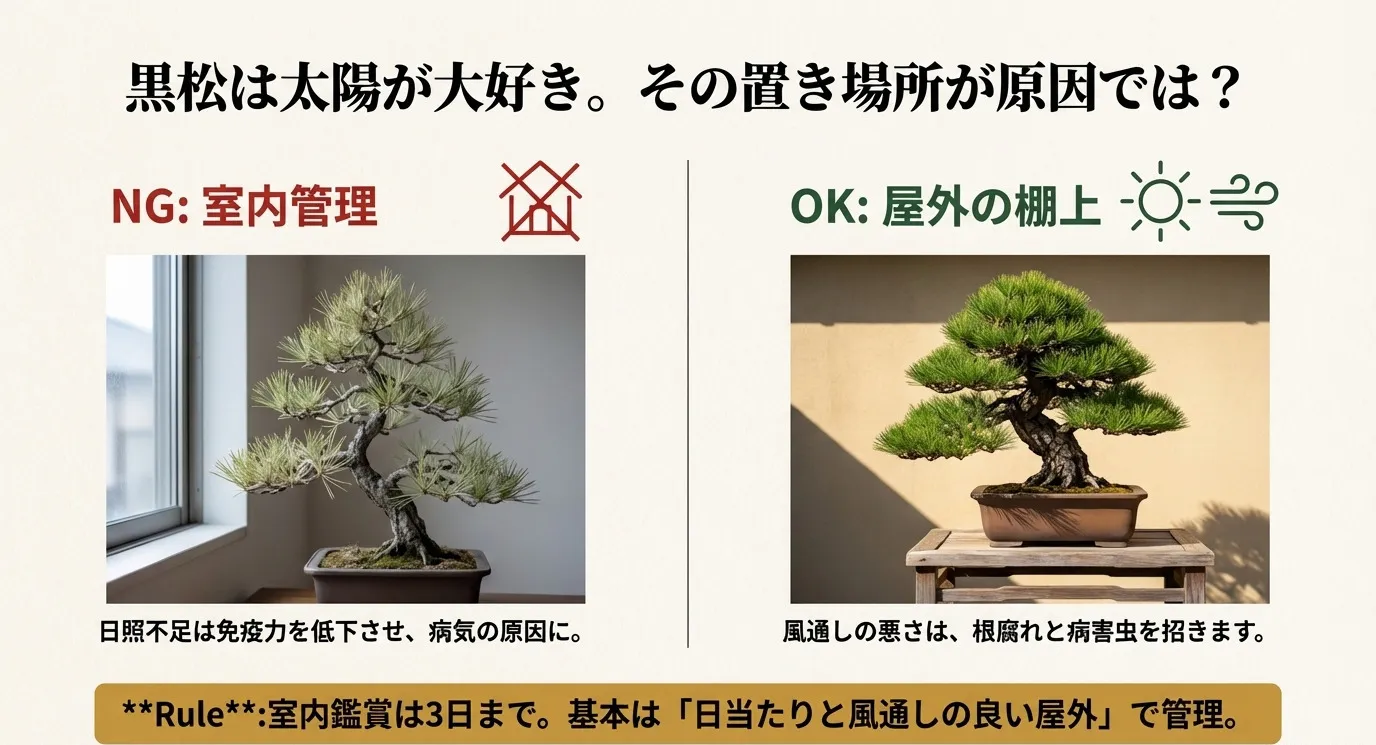 窓辺での室内管理がNGである様子と、屋外の日当たりの良い棚上が適していることを示す比較イラスト。