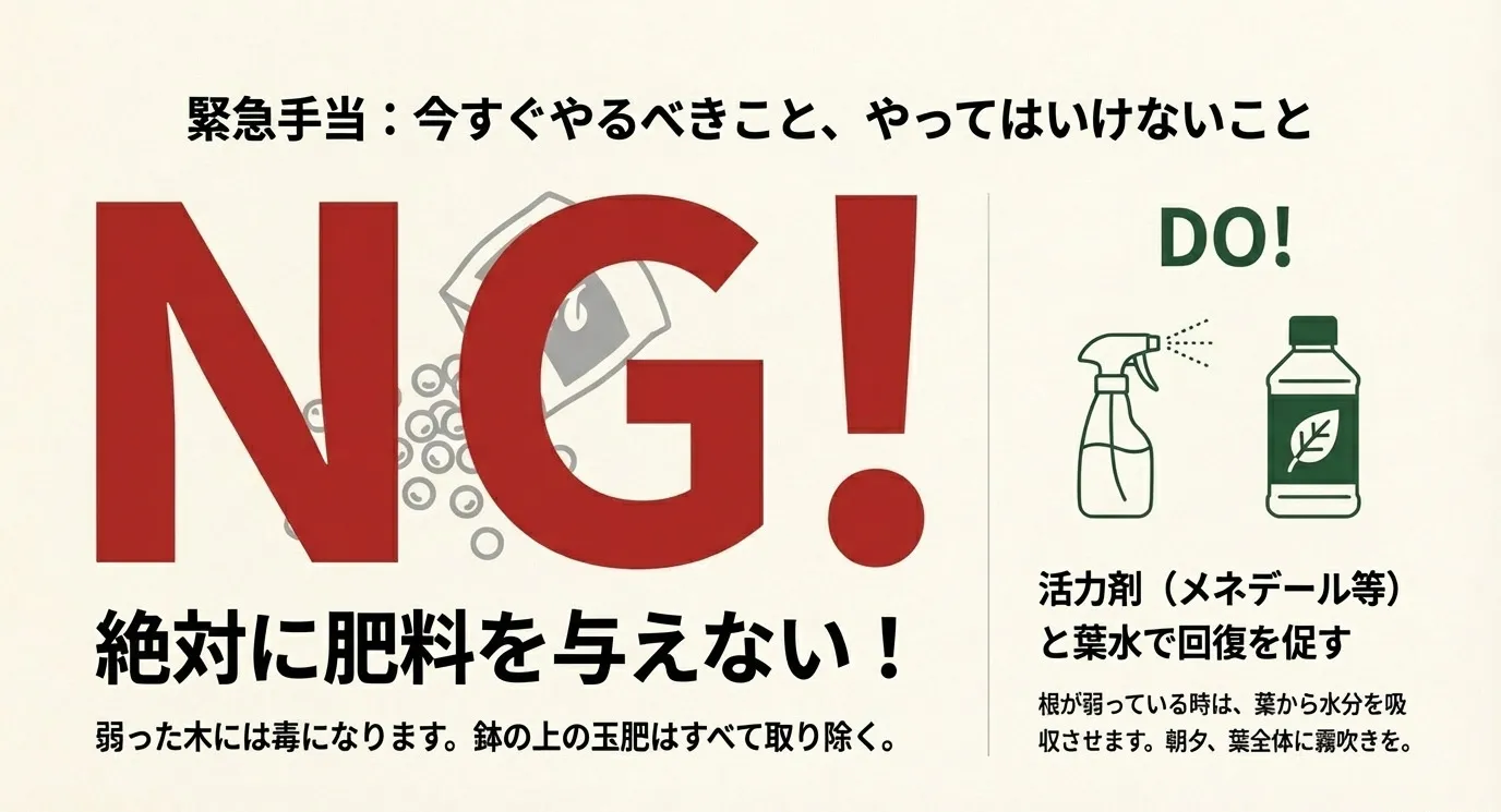 弱った木に肥料を与えるのがNGであることと、活力剤や葉水で回復を促すべきであることを示すイラスト。