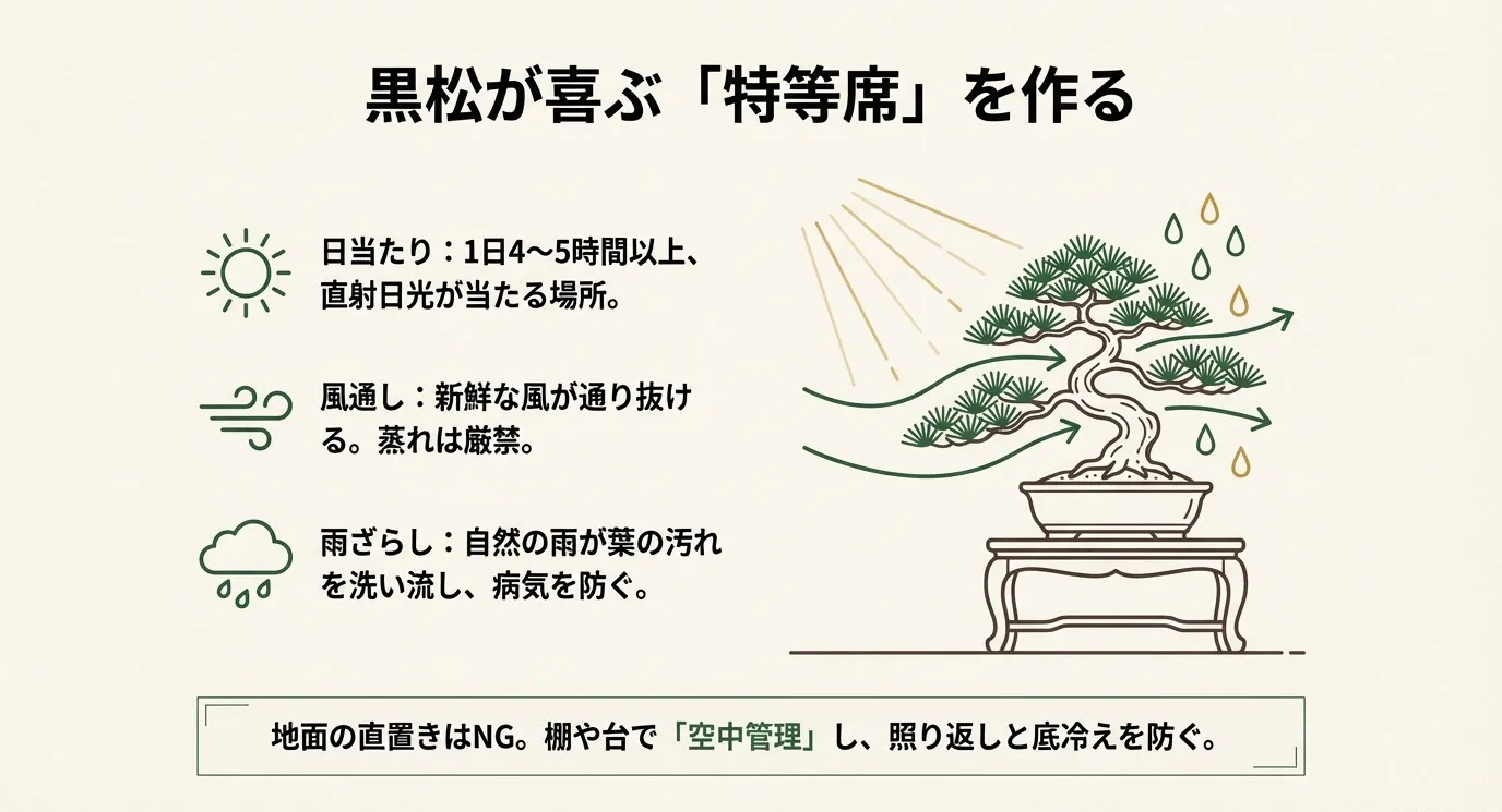 日当たり、風通し、雨ざらしの3条件を満たし、地面から離した棚の上に盆栽を置いているイラスト。
