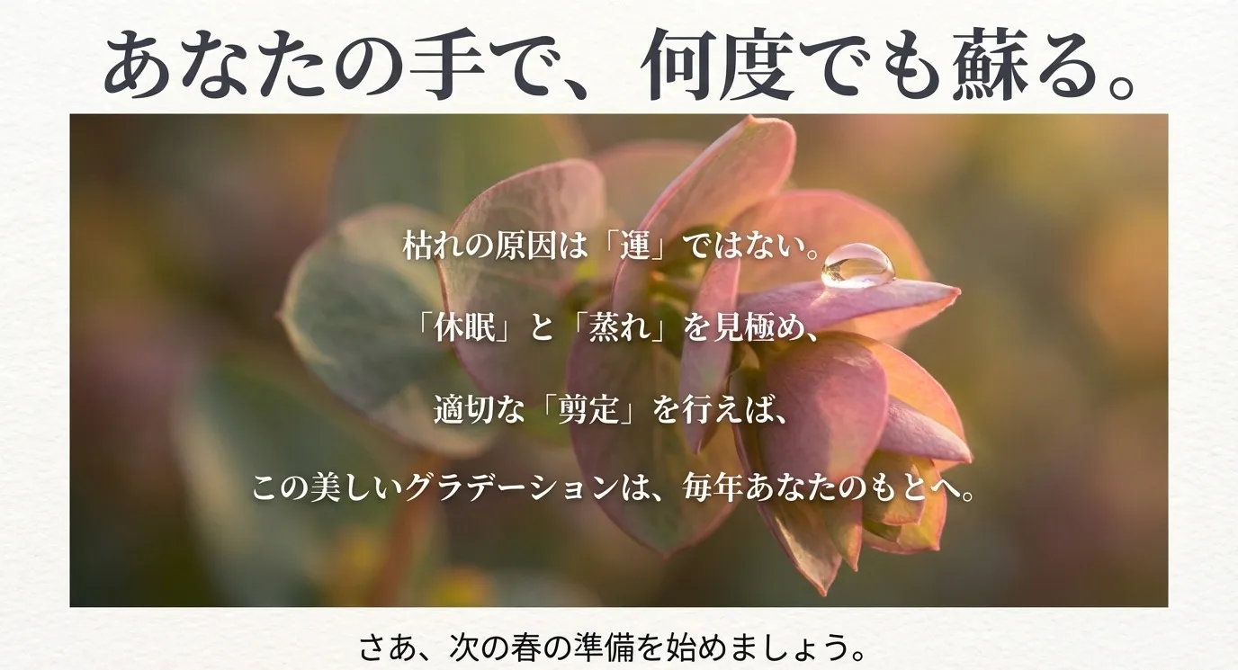 植物のイラストと「あなたの手で、何度でも蘇る」「さあ、次の春の準備を始めましょう」というメッセージ