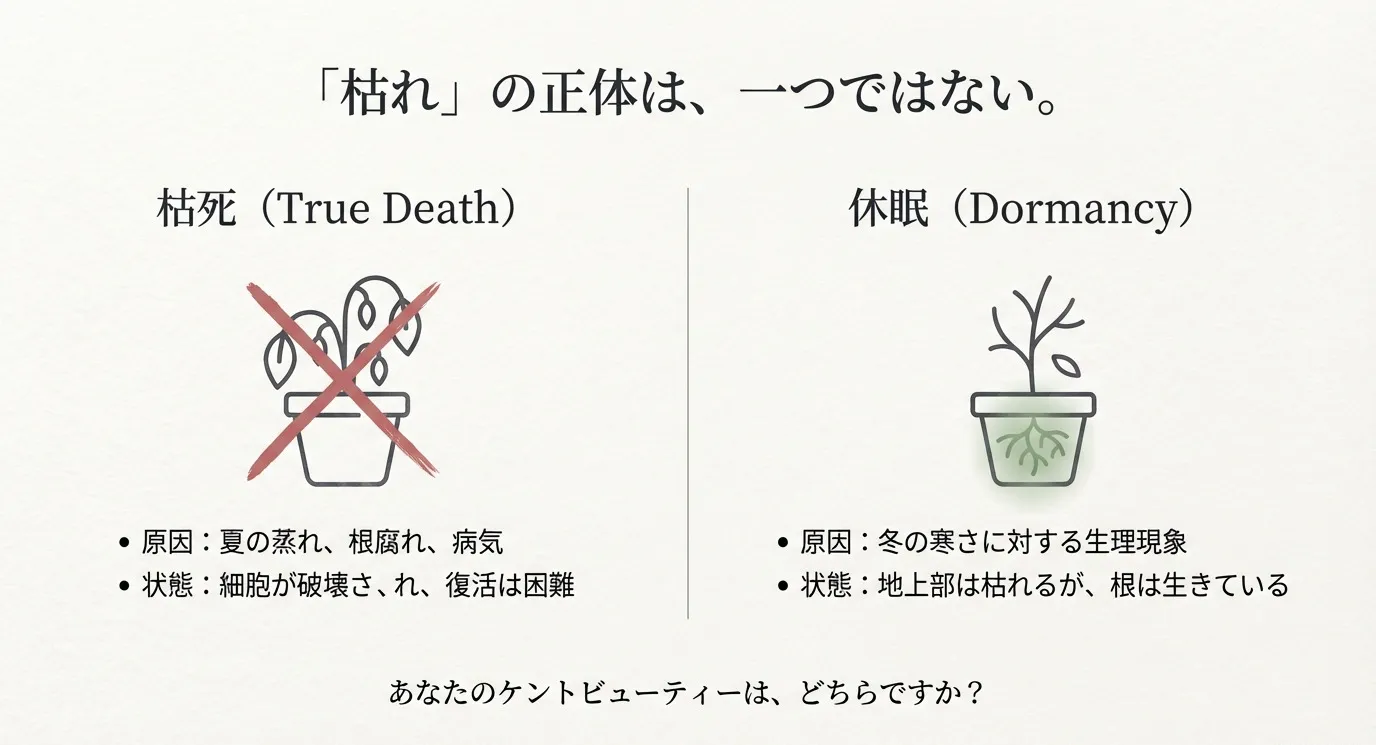 枯れてしまった植物（バツ印）と、葉は落ちているが根は生きている休眠状態の植物の比較イラスト