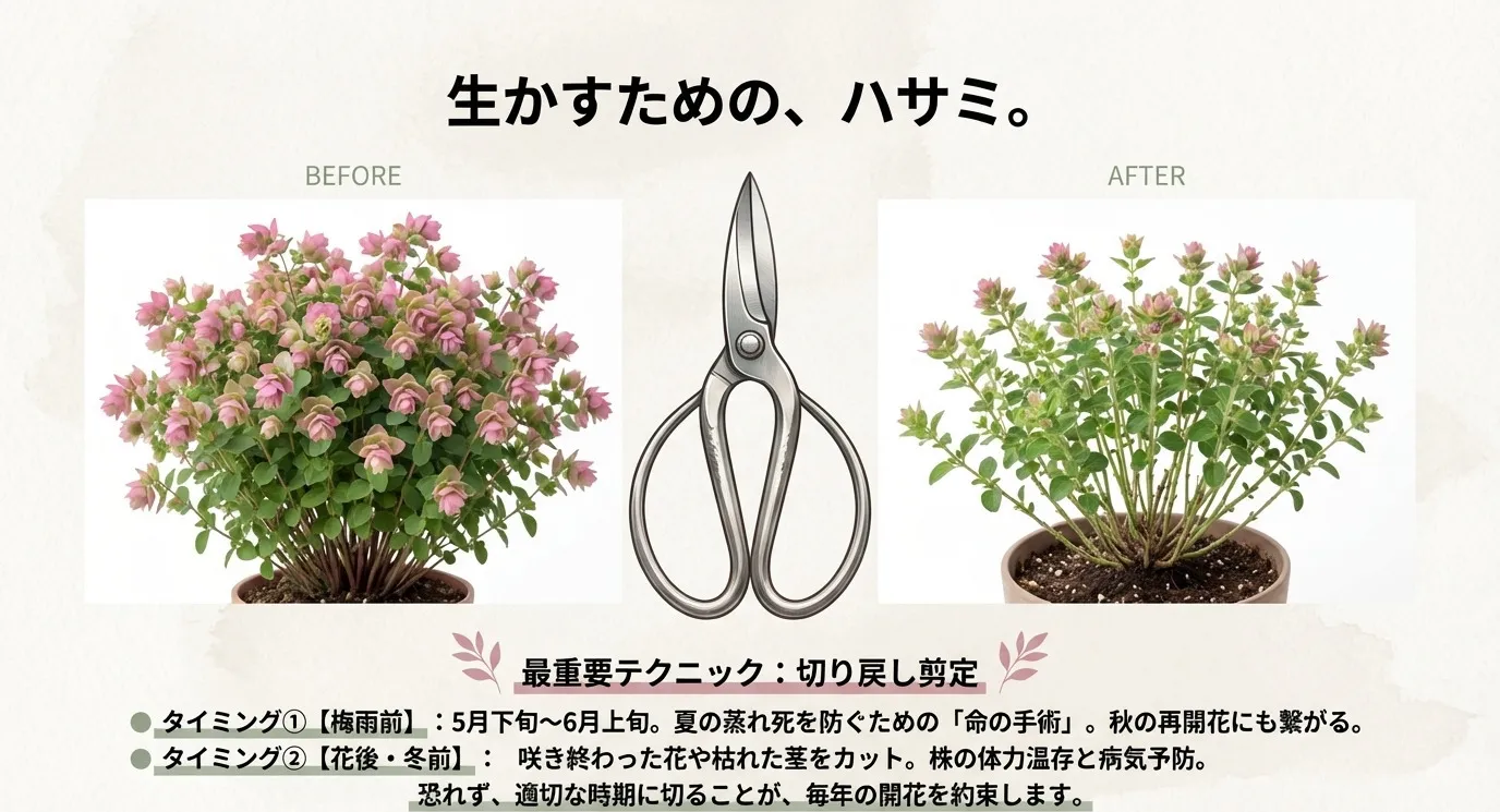 剪定バサミのイラストと、伸びすぎた株（BEFORE）がこんもりと整えられた状態（AFTER）の比較。「生かすための、ハサミ」という解説