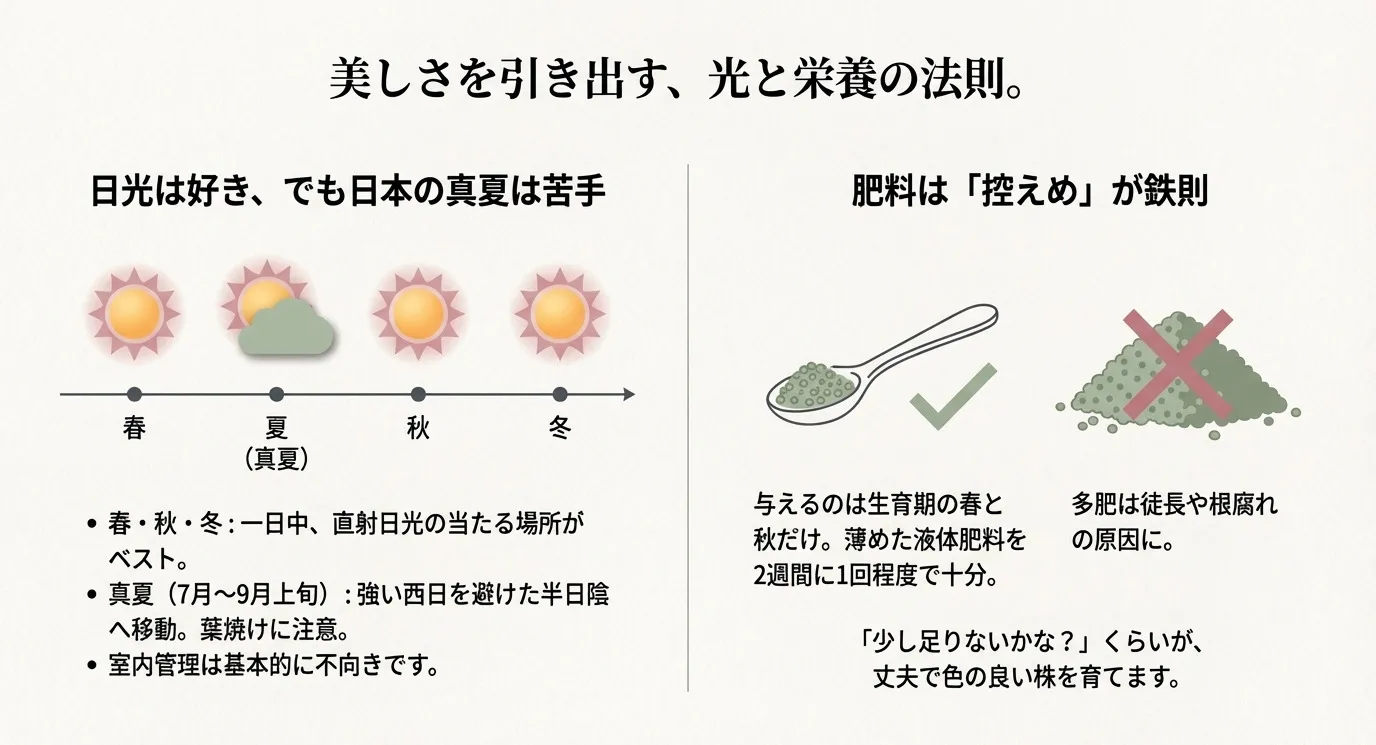 春・秋・冬は直射日光、真夏は曇りや半日陰が良いことを示す季節ごとの太陽のイラストと、肥料はスプーン1杯程度で控えめにすることを示すイラスト