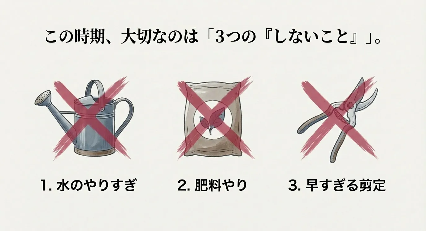 水やり、肥料、剪定のイラストに大きくバツ印が描かれ、冬にやってはいけない3つのことを示している図