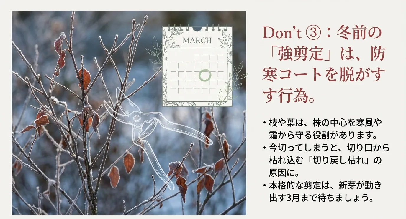 3月のカレンダーと剪定バサミのイラスト。冬前の剪定は防寒コートを脱ぐようなものであり、春まで待つべきであることを示した図
