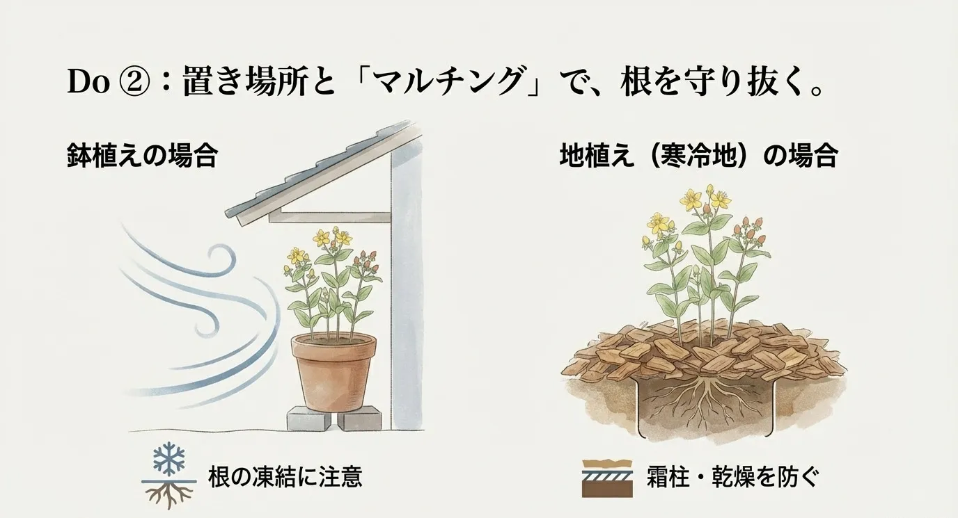 軒下に置かれた鉢植えのイラストと、株元にウッドチップなどでマルチングを施した地植えの断面図