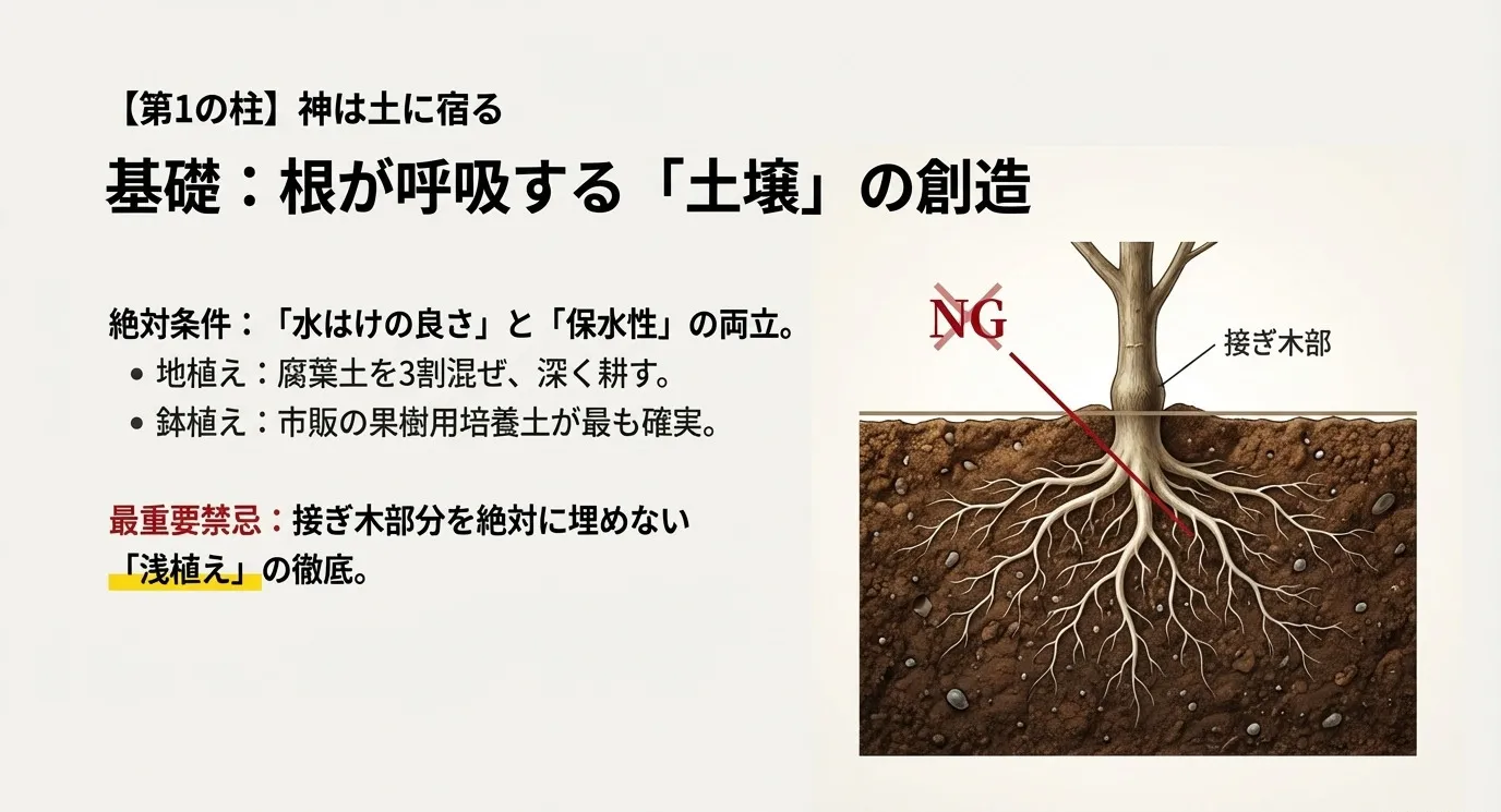 晩白柚の植え付け図解。「第1の柱 神は土に宿る」。接ぎ木部分を土に埋めてしまっている「NG」な植え方のイラストと、水はけの良さや浅植えの重要性を説くテキスト