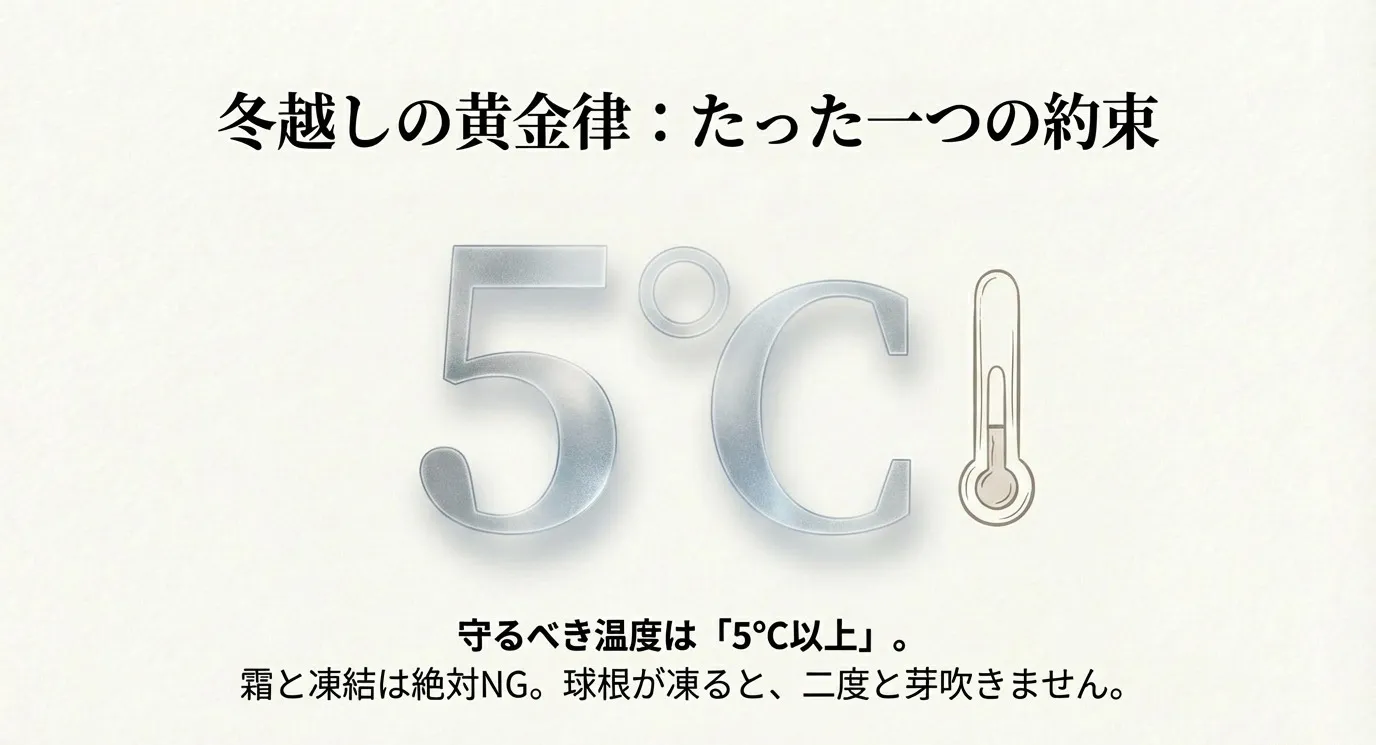 大きく「5℃」と表示された温度計のイラスト。冬越しの守るべき温度基準を示している