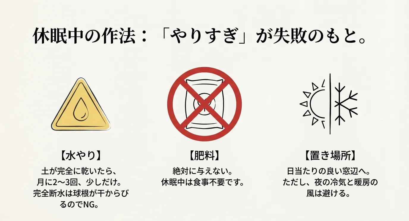 水やりは控えめに、肥料はNG、置き場所は日向へという冬の管理ポイントをまとめたアイコン付きの解説図