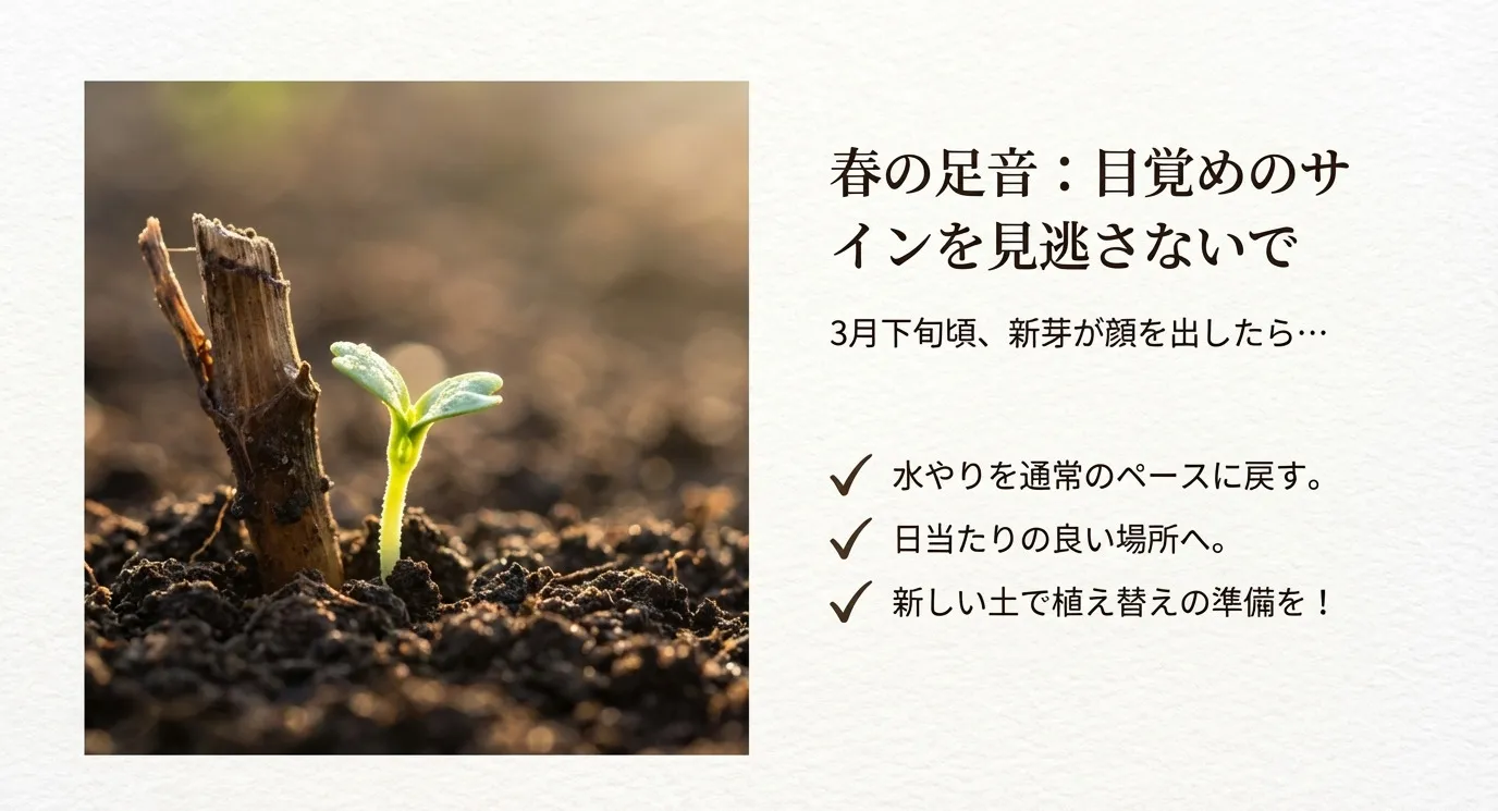 土の中から小さな新芽が顔を出している様子を描いたイラスト。春の訪れと管理再開のタイミングを示唆している