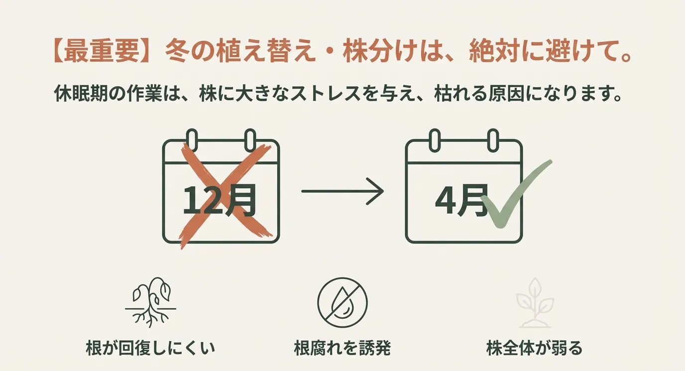 12月にバツ印、4月にチェック印がついたカレンダーのイラスト。「休眠期の12月は絶対に避けて、4月以降に行うこと」を強調する図解