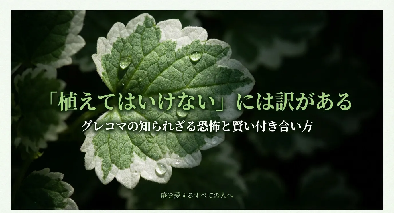 「植えてはいけない」には訳がある。グレコマの知られざる恐怖と賢い付き合い方。庭を愛するすべての人へ