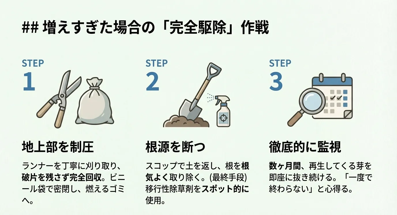駆除の3ステップ。STEP1:地上部を制圧(刈り取り・密閉回収)、STEP2:根源を断つ(土を返し根を除く・除草剤)、STEP3:徹底的に監視(数ヶ月再生を抜き続ける)。