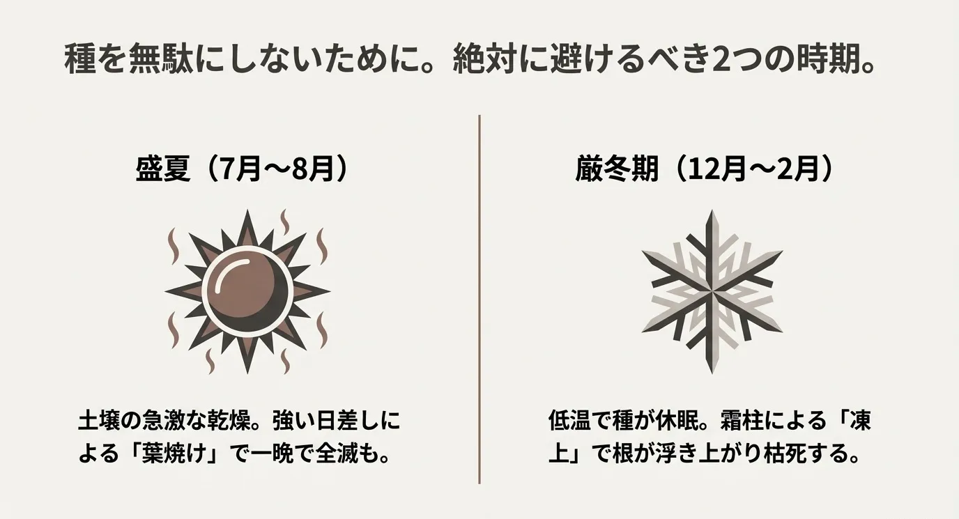 燃える太陽（盛夏：7月〜8月）と雪の結晶（厳冬期：12月〜2月）のイラスト。夏は乾燥と葉焼け、冬は休眠と凍上リスクがあることを説明