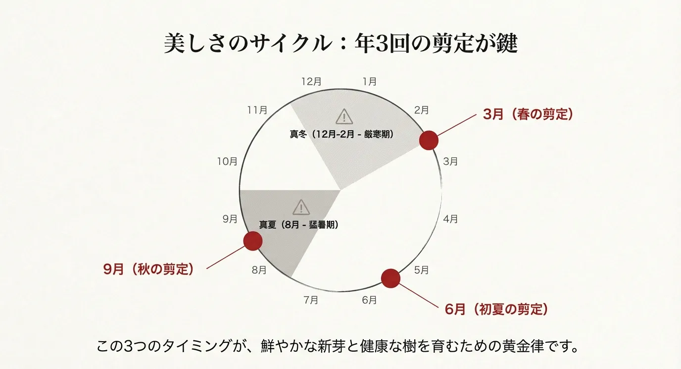 年3回（3月、6月、9月）の剪定タイミングを示した年間カレンダーの図解。
