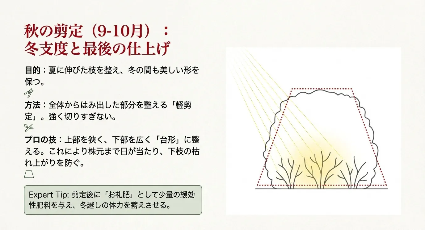 生垣を台形に整えることで株元まで日光が届く様子を示したイラスト。9-10月の秋の剪定の目的を説明。