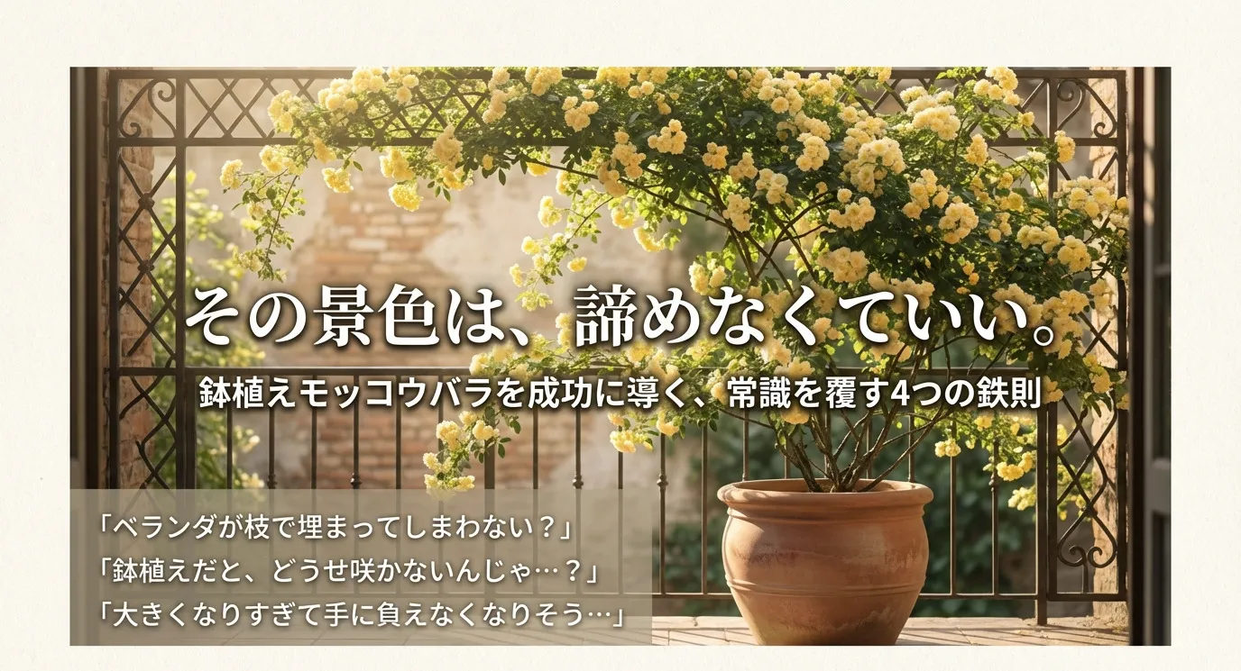 鉢植えのモッコウバラを美しく咲かせるための4つの鉄則を紹介する表紙スライド。