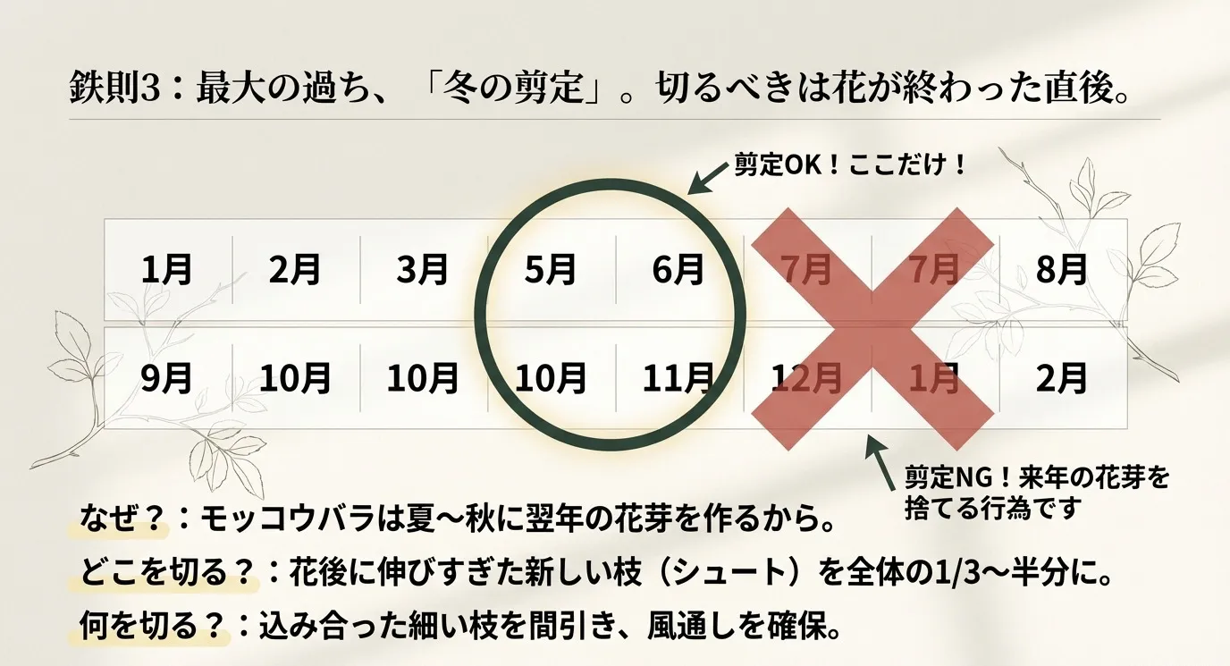 5月〜6月の花後は剪定OKだが、夏以降に翌年の花芽ができるため冬の剪定はNGであることを示すカレンダー図。