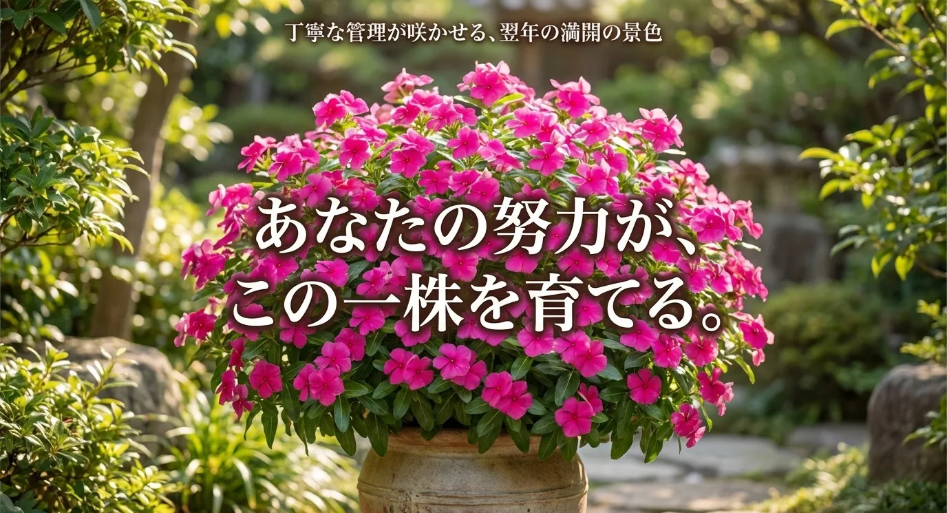丁寧な管理の先に待つ翌年の満開の景色をイメージしたメッセージスライド。「あなたの努力が、この一株を育てる」という一文