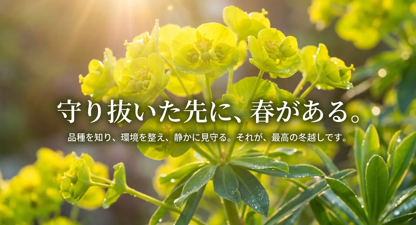 品種を知り、環境を整え、静かに見守ることが最高の冬越しであるという締めくくりのメッセージ。
