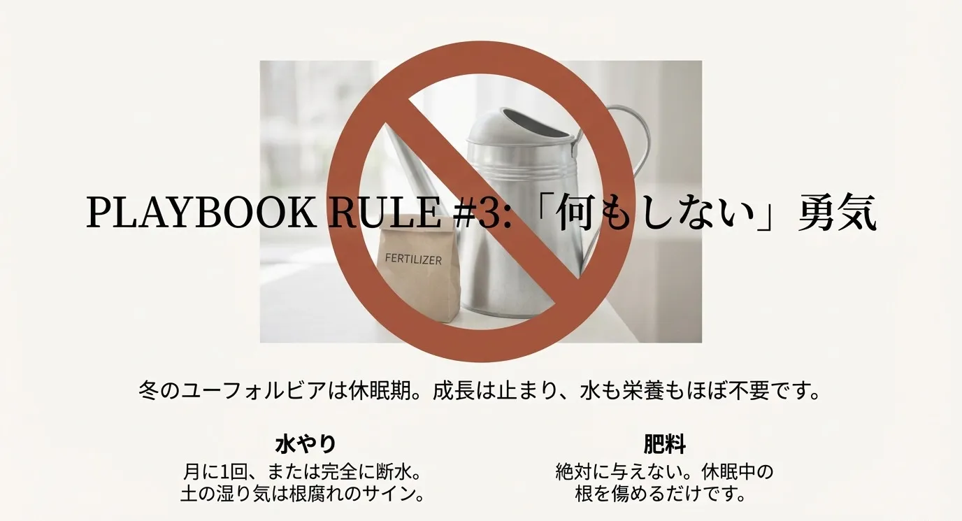 冬は休眠期であるため、月に1回以下の水やりや断水が必要であり、肥料は絶対に与えないことを説明するスライド。
