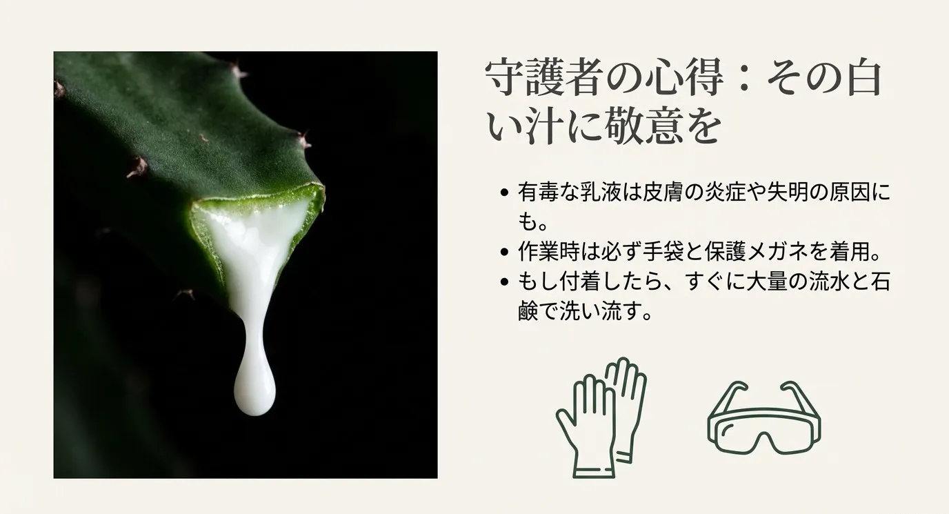 ユーフォルビアから滴る白い乳液と、作業用の手袋・保護メガネのイラスト。有毒性への注意喚起。
