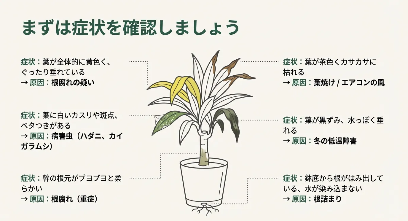 葉の変色(黄色、茶色、黒ずみ)、ベタつき、幹の柔らかさ、鉢底の根などの具体的な症状から、根腐れや葉焼け、低温障害などの原因を特定するための診断表。