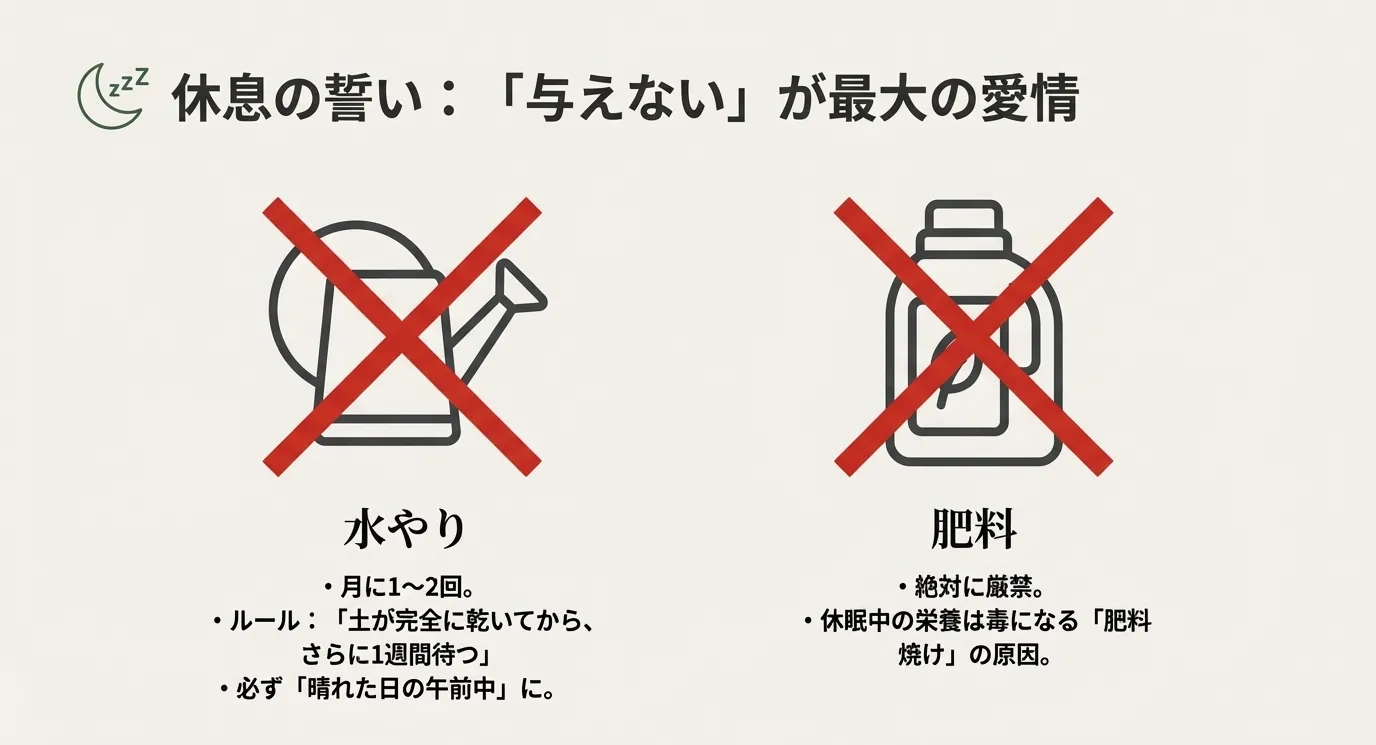 冬の水やりルール（月1〜2回、土が乾いてから1週間待つ、晴れた午前中に実施）と、肥料が厳禁（肥料焼けの原因）であることを示す禁止マークのイラスト。