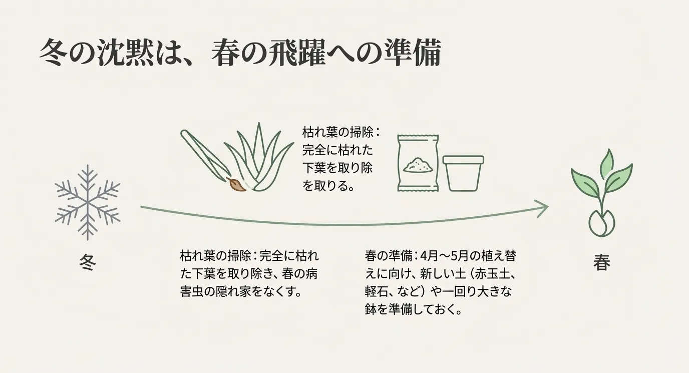 冬の間の枯れ葉掃除と、春（4月〜5月）に向けた新しい土や鉢の準備を説明するイラスト。