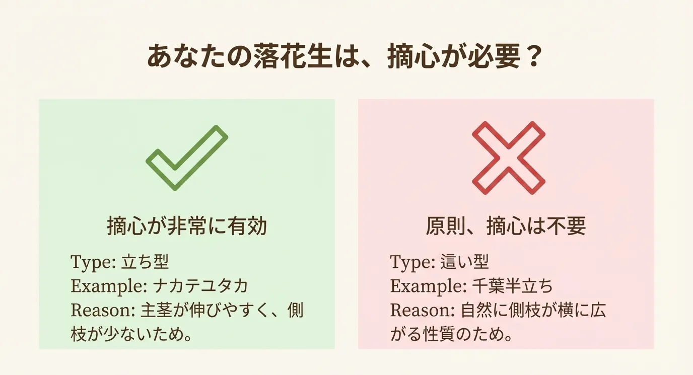 立ち型(ナカテユタカ等)は摘心が有効、這い型(千葉半立ち等)は原則不要であることを示すチェックマークとバツ印の図解。
