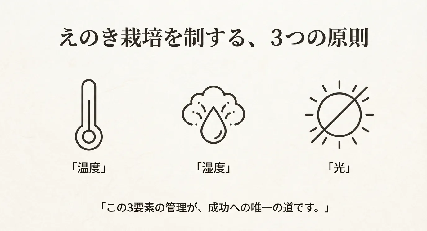 えのき栽培を成功させるための3要素「温度」「湿度」「光」を示すアイコンとテキスト。