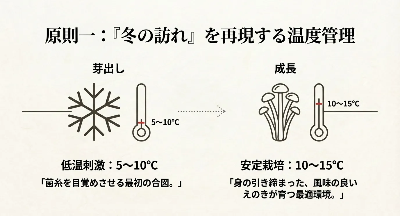 芽出し時期(5〜10℃)と成長時期(10〜15℃)の適温を示すイラストと温度計の図解。
