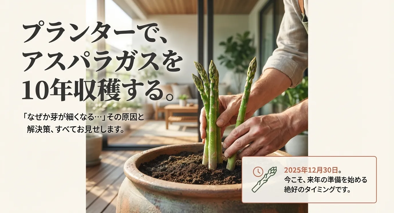 タイトルスライド。プランターでアスパラガスを10年収穫するための原因と解決策。