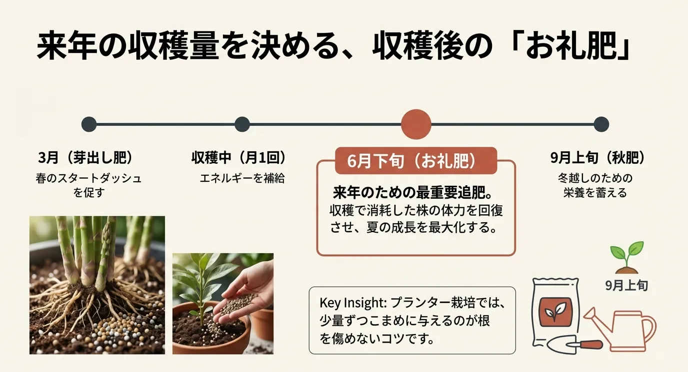 3月の芽出し肥、収穫中の月1回の追肥、6月下旬のお礼肥、9月上旬の秋肥のタイミングを示した図解