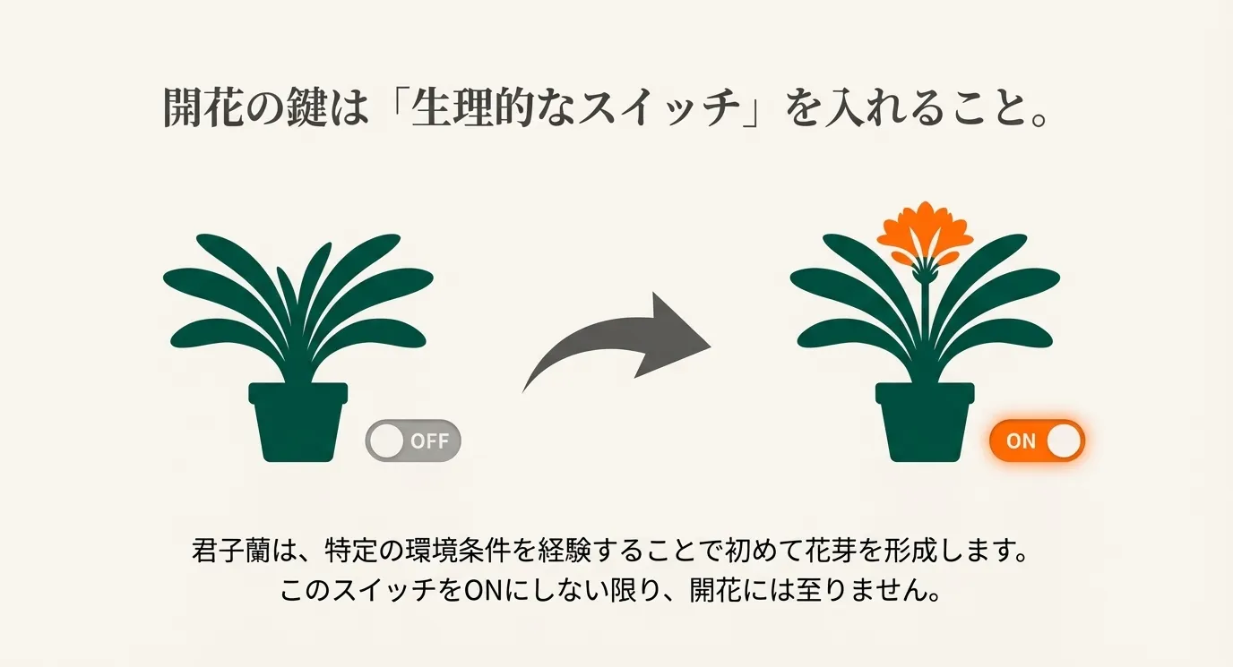 花がない株（OFF）から、オレンジの花が咲いた株（ON）へと切り替わるイメージ図。開花の鍵は「生理的なスイッチ」を入れることであるという説明