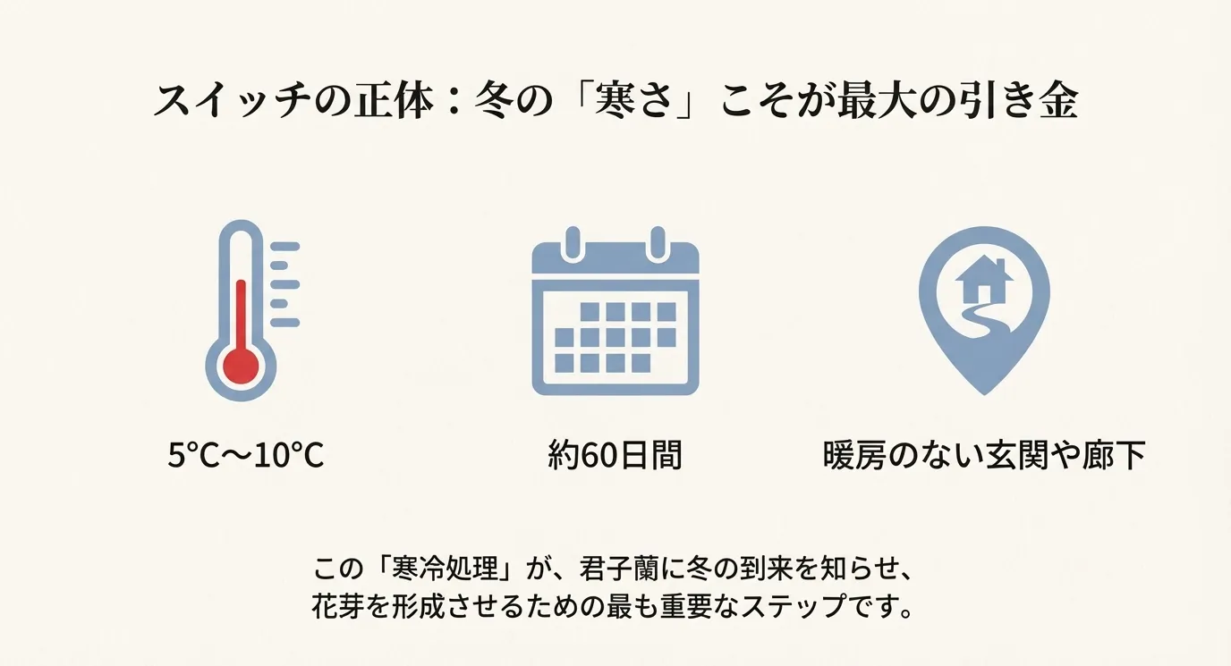 温度計（5℃〜10℃）、カレンダー（約60日間）、家のアイコン（暖房のない玄関や廊下）で、花芽形成に必要な冬の寒さの条件を示したイラスト