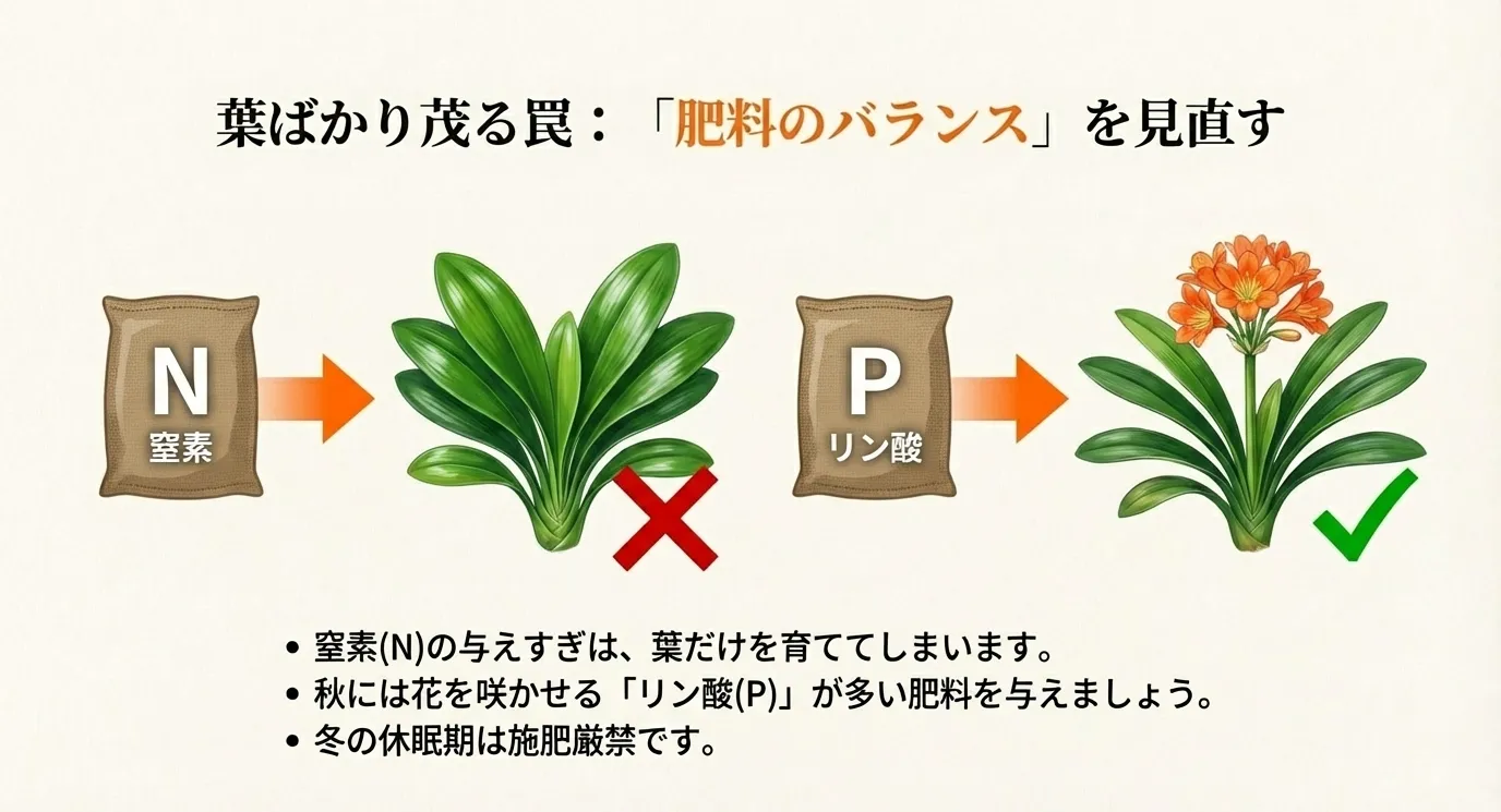 葉を育てる窒素（N）と、花を咲かせるリン酸（P）の役割を示し、秋にはリン酸の多い肥料が必要であることを説明した図