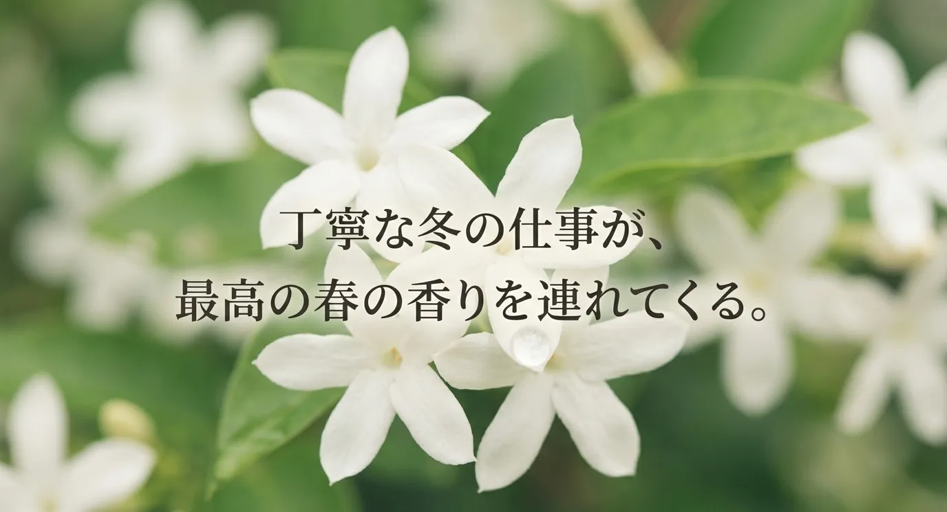 「丁寧な冬の仕事が、最高の春の香りを連れてくる。」という結びのメッセージ。