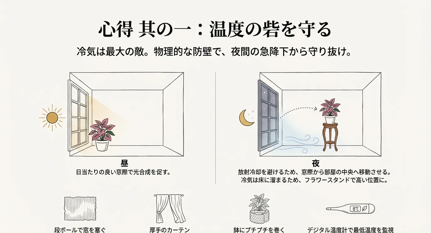 昼は窓際、夜は部屋の中央へ移動させるイラスト。段ボールや厚手のカーテン、鉢にプチプチを巻くなどの防寒対策のポイントがまとめられたスライド。