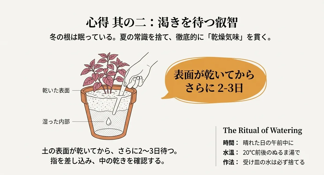 土の表面が乾いていても内部が湿っている様子を示した鉢の断面図。指を差し込んで確認する方法や、20℃前後のぬるま湯を午前中に与えるポイントを説明したスライド。