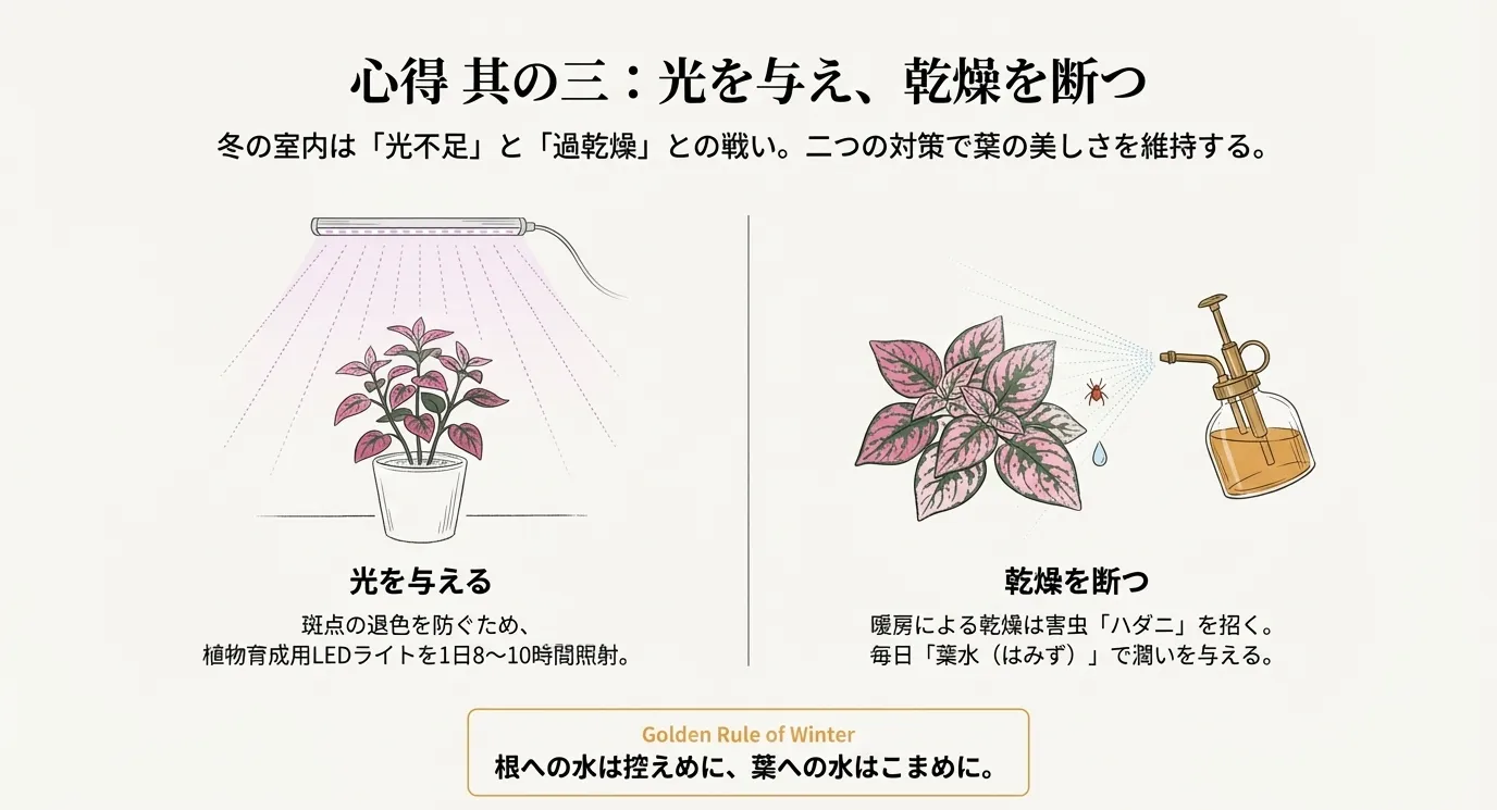 植物育成用LEDライトを照射する図と、ハダニを防ぐための霧吹き（葉水）のイラスト。「光を与え、乾燥を断つ」という心得が書かれたスライド。