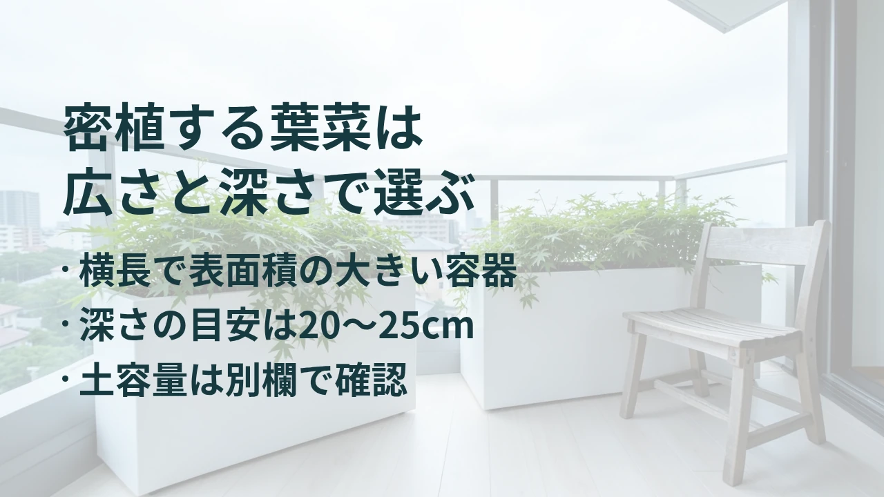 密植する葉菜は 広さと深さで選ぶ