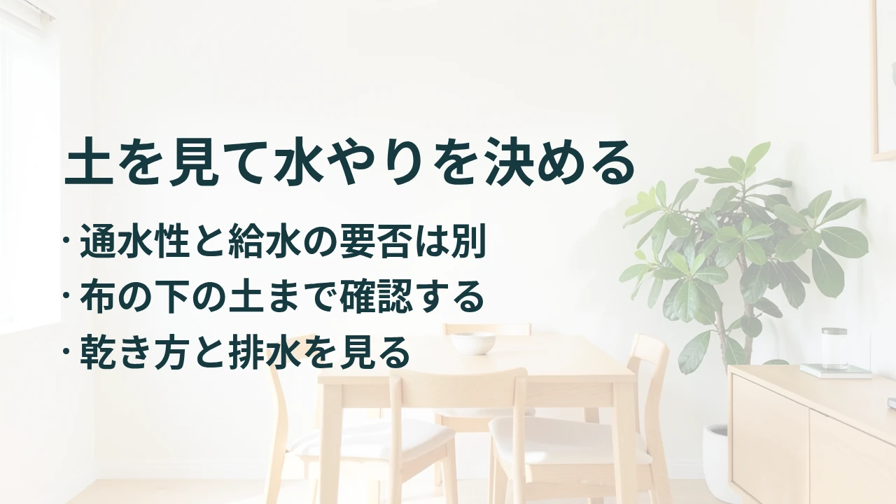 土を見て水やりを決める