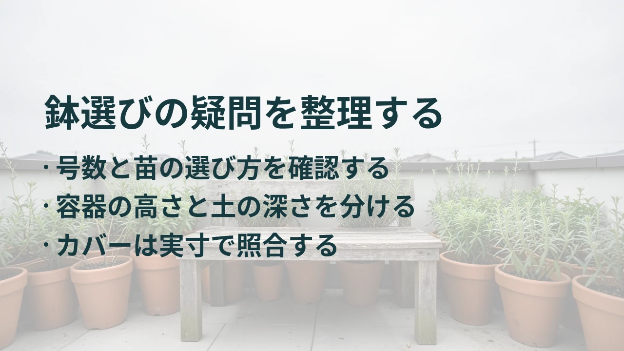 鉢選びの疑問を整理する